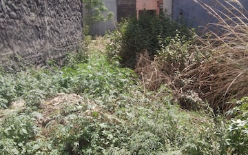 Plot For Sale in Sector 14