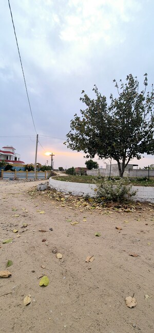  Plot For Sale in Ansal Sushant City, Nari Ka Bas