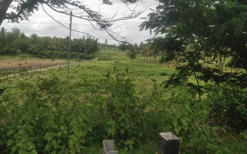 Plot For Sale in Guttahalli