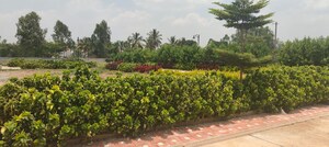  Plot – Exterior View View at Sarjapur Bagalur Road - for Sale