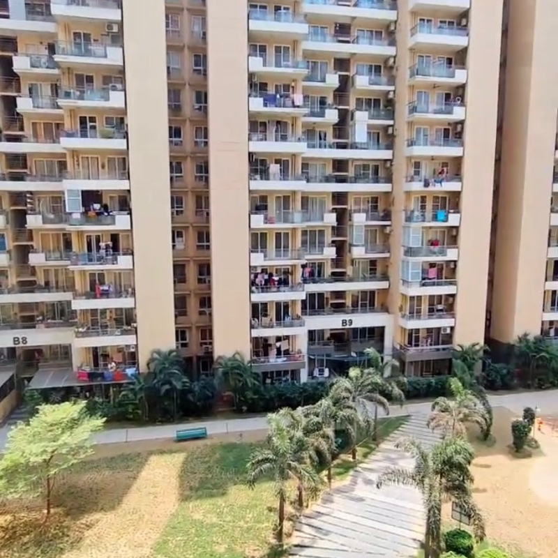 3 BHK Apartment For Rent in Tulip Violet