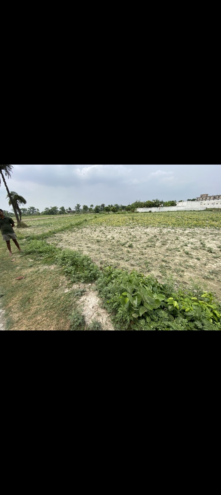 undefined, zeromeail  1760 Sq.Ft. Plot In Zeromeail Muzaffarpur 8690729