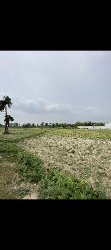 Plot Area in  Plot at Zeromeail – for Sale