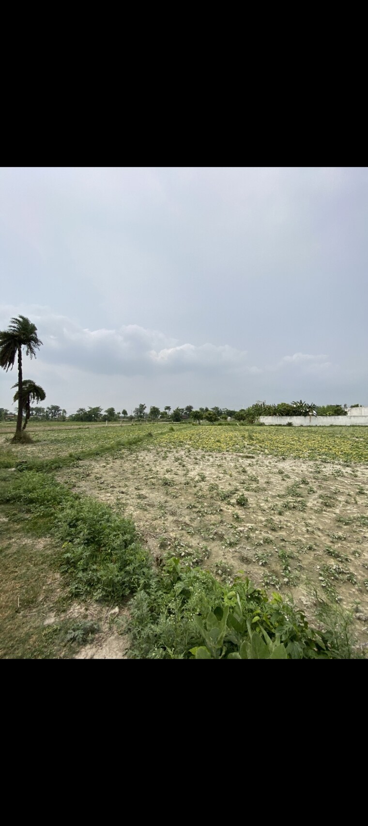 undefined, zeromeail  1760 Sq.Ft. Plot In Zeromeail Muzaffarpur 8690729