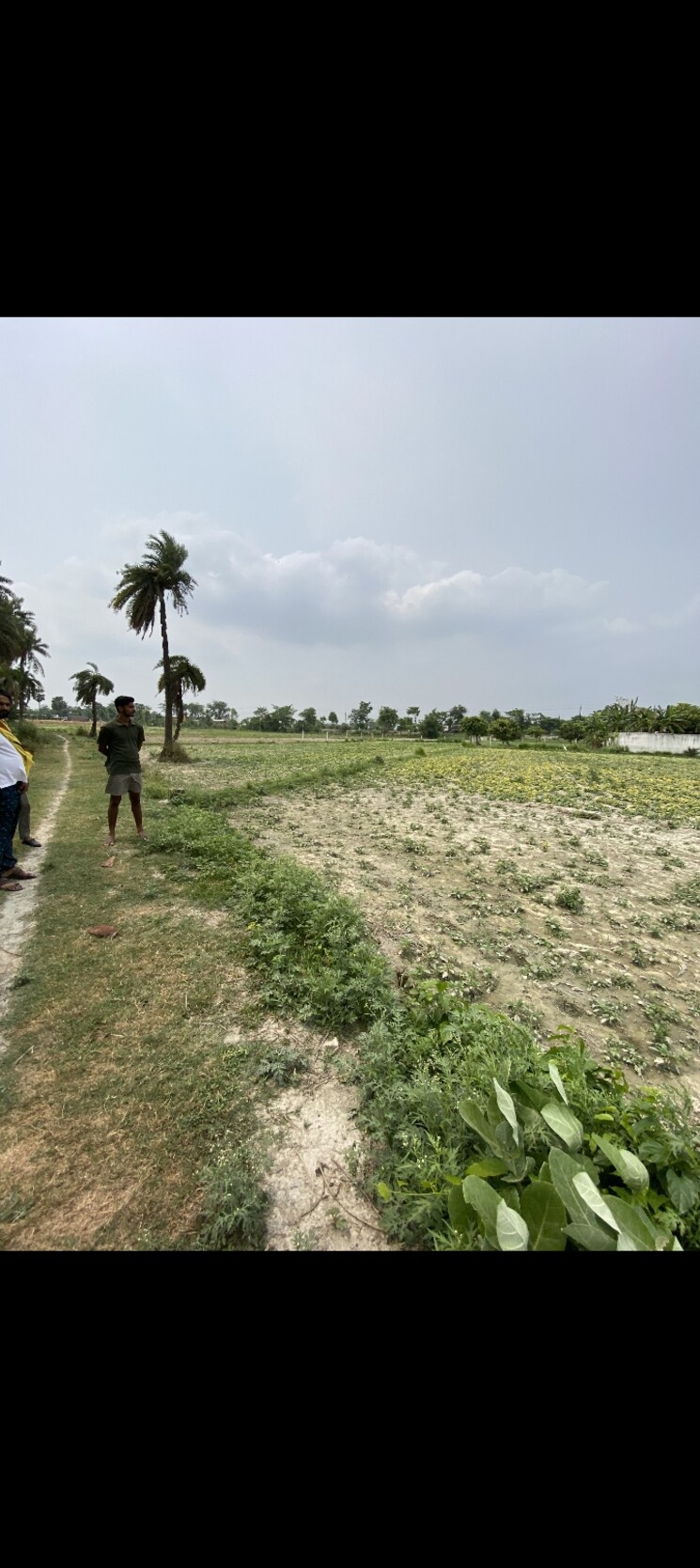 undefined, zeromeail  1760 Sq.Ft. Plot In Zeromeail Muzaffarpur 8690729