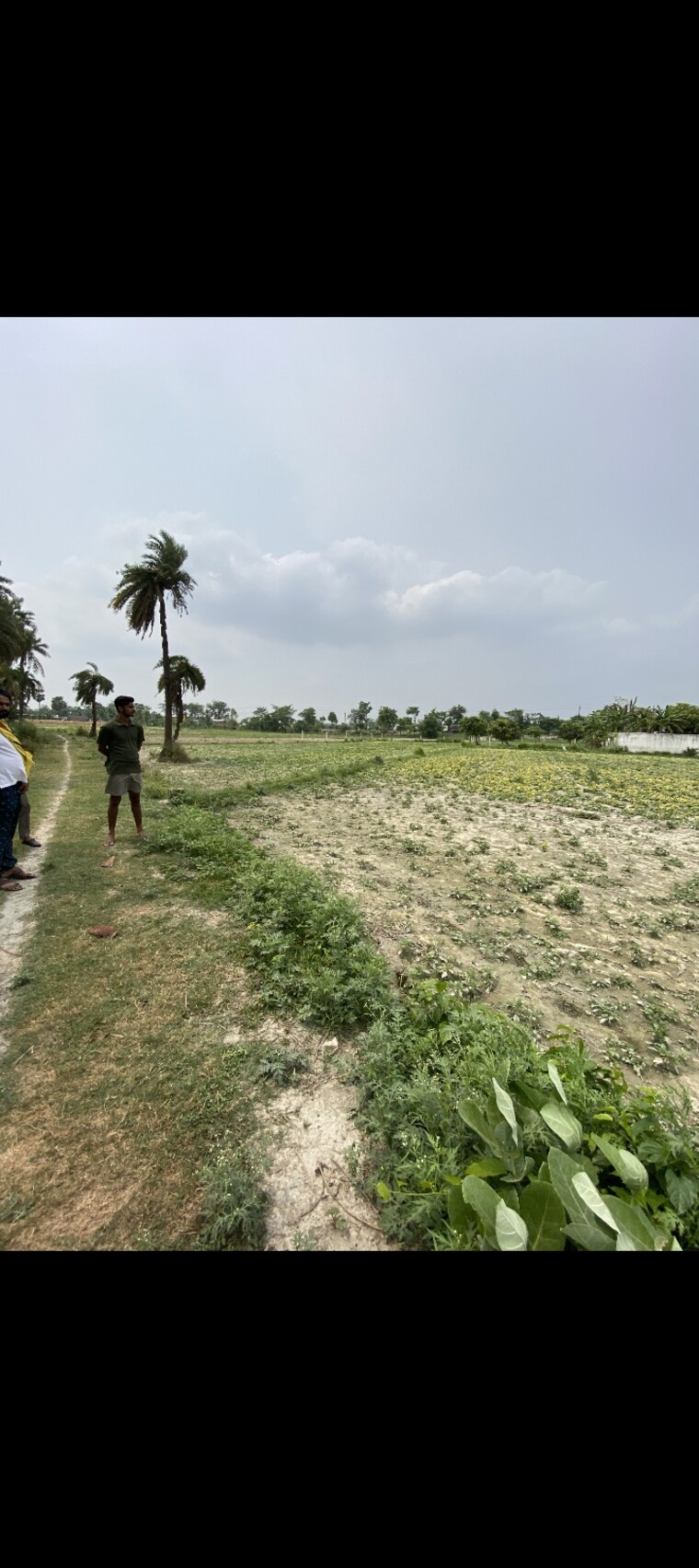 undefined, zeromeail  1760 Sq.Ft. Plot In Zeromeail Muzaffarpur 8690729