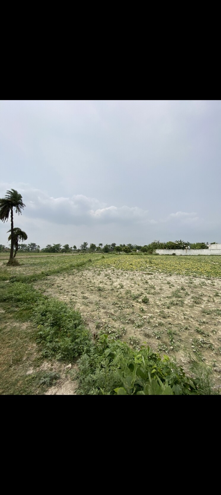 undefined, zeromeail  10560 Sq.Ft. Plot In Zeromeail Muzaffarpur 8690761