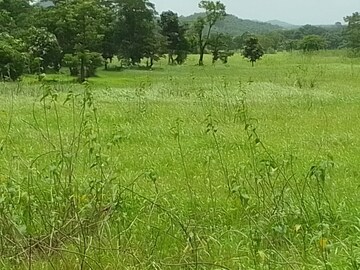  Plot For Sale in Mandangad