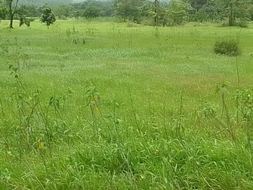 Plot Area in  Plot at Mandangad – for Sale