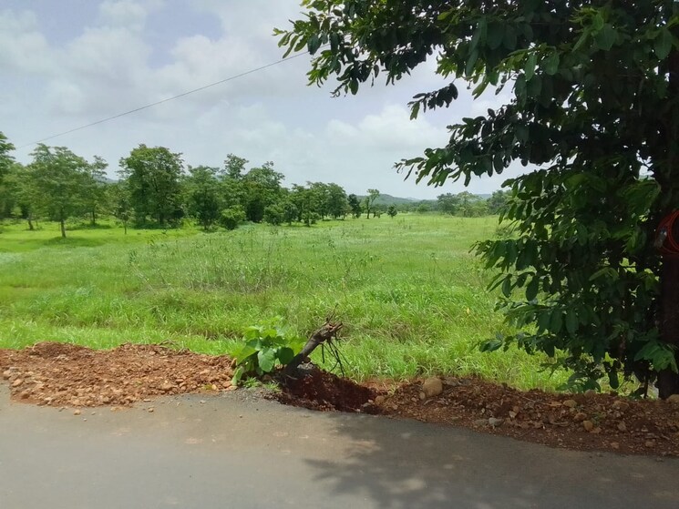 undefined, mandangad  9 Acre Plot In Mandangad Ratnagiri 8690788