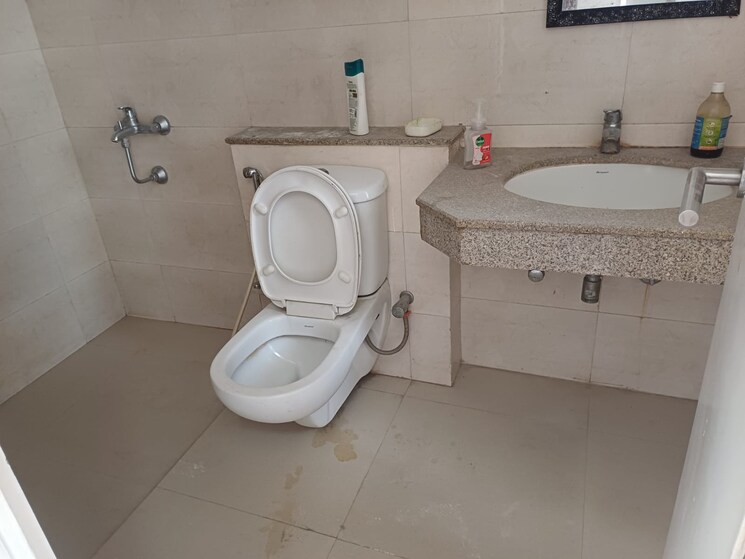 Bathroom, emaar-imperial-gardens 3 Bedroom 2025 Sq.Ft. Apartment In Sector 102 Gurgaon 8690840