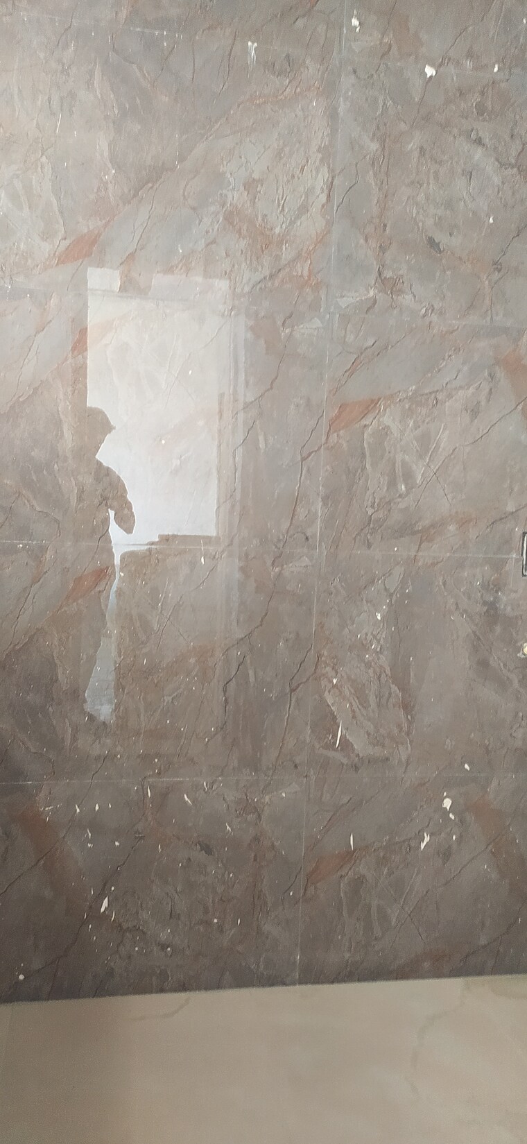 Bathroom, sector 85 3 Bedroom 250 Sq.Yd. Builder Floor In Sector 85 Faridabad 8691215