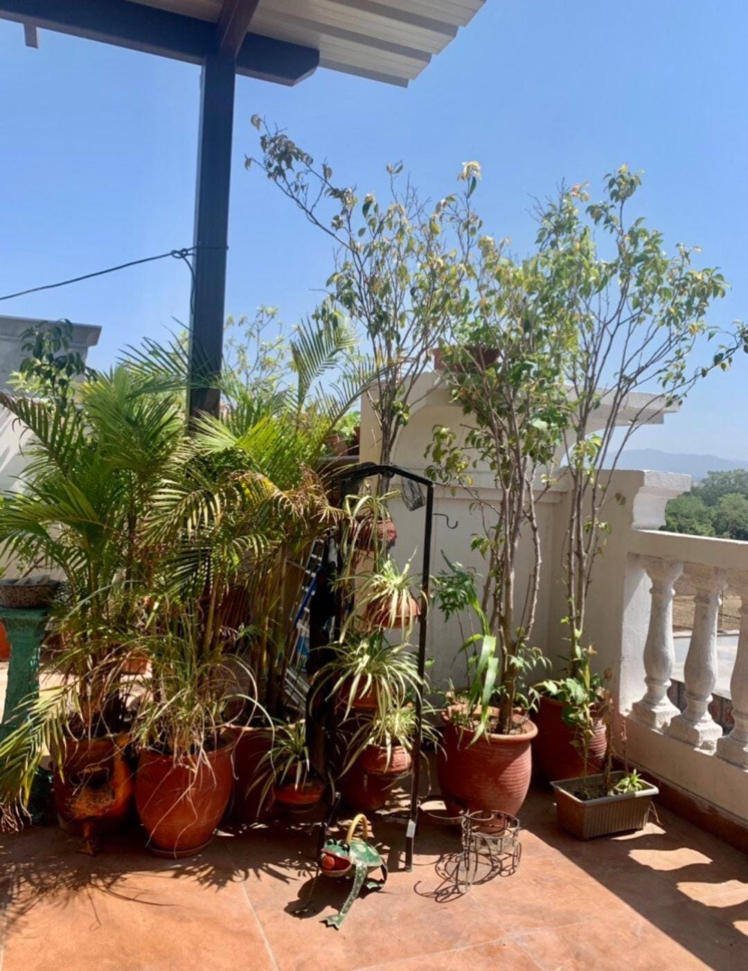 3.5 BHK + Extra Room Penthouse For Sale in G And G Myst Homes