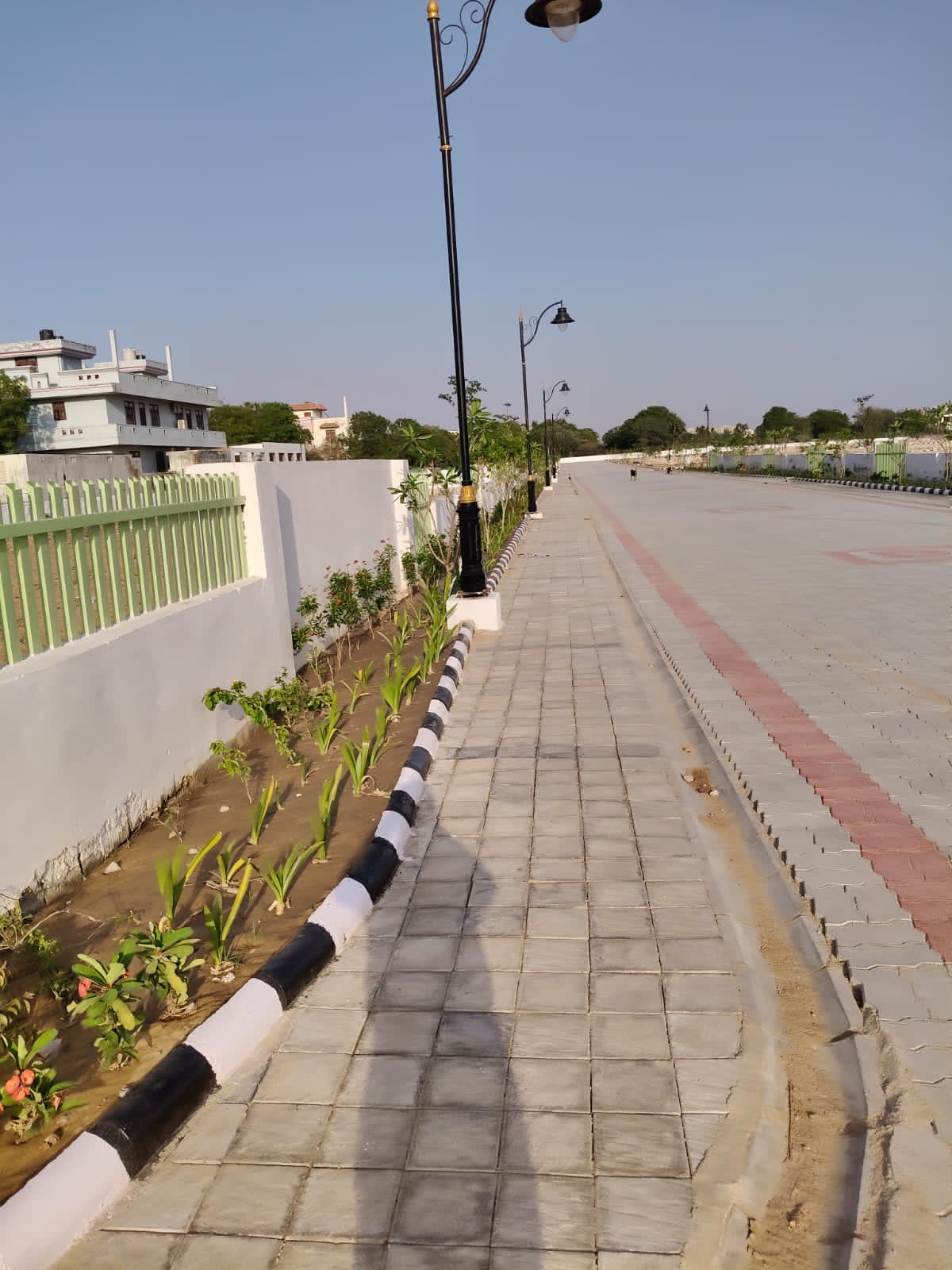 Plot For Sale in Panwaliya
