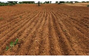  Plot For Sale in Sultanpur