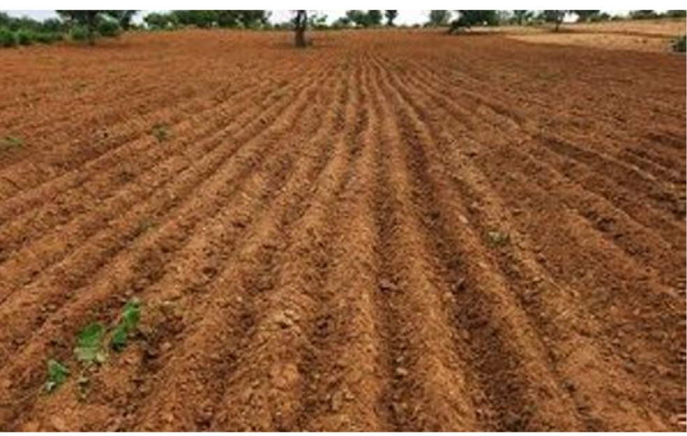 Plot For Sale in Sultanpur