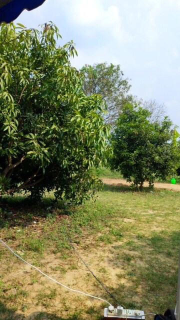  Plot For Sale in Aldona