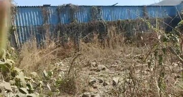  Plot For Sale in Vasai