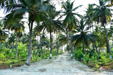  Land For Sale in Yelahanka