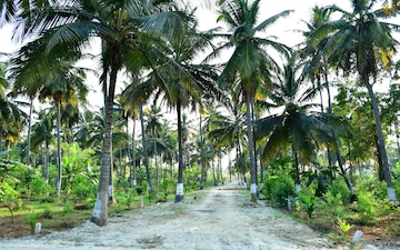 Land For Sale in Yelahanka