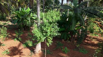  Land – Garden View at Yelahanka - for Sale