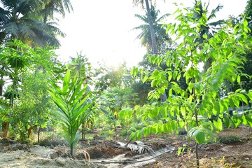 Plot Area in  Land at Yelahanka – for Sale