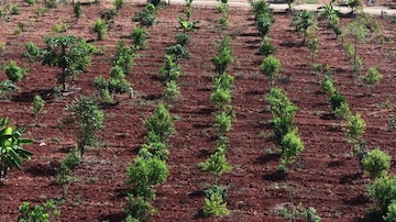  Land – Garden View at Yelahanka - for Sale