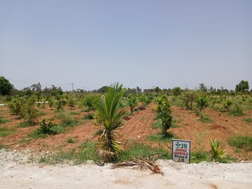  Land For Sale in Yelahanka