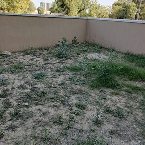 3 BHK Builder Floor – Exterior View View at BPTP Elite Floors, Sector 83 - for Sale