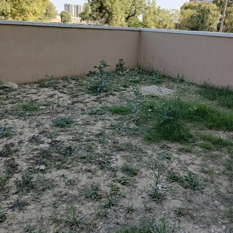 Exterior View, bptp-elite-floors 3 Bedroom 250 Sq.Yd. Builder Floor In Sector 83 Faridabad 8692598