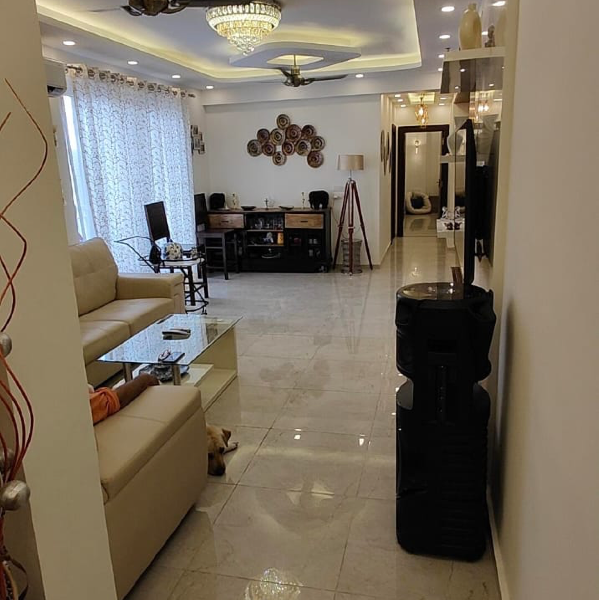 3.5 BHK Builder Floor For Sale in M3M Soulitude