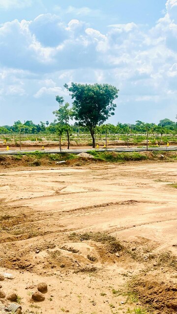  Plot For Sale in Kandukur