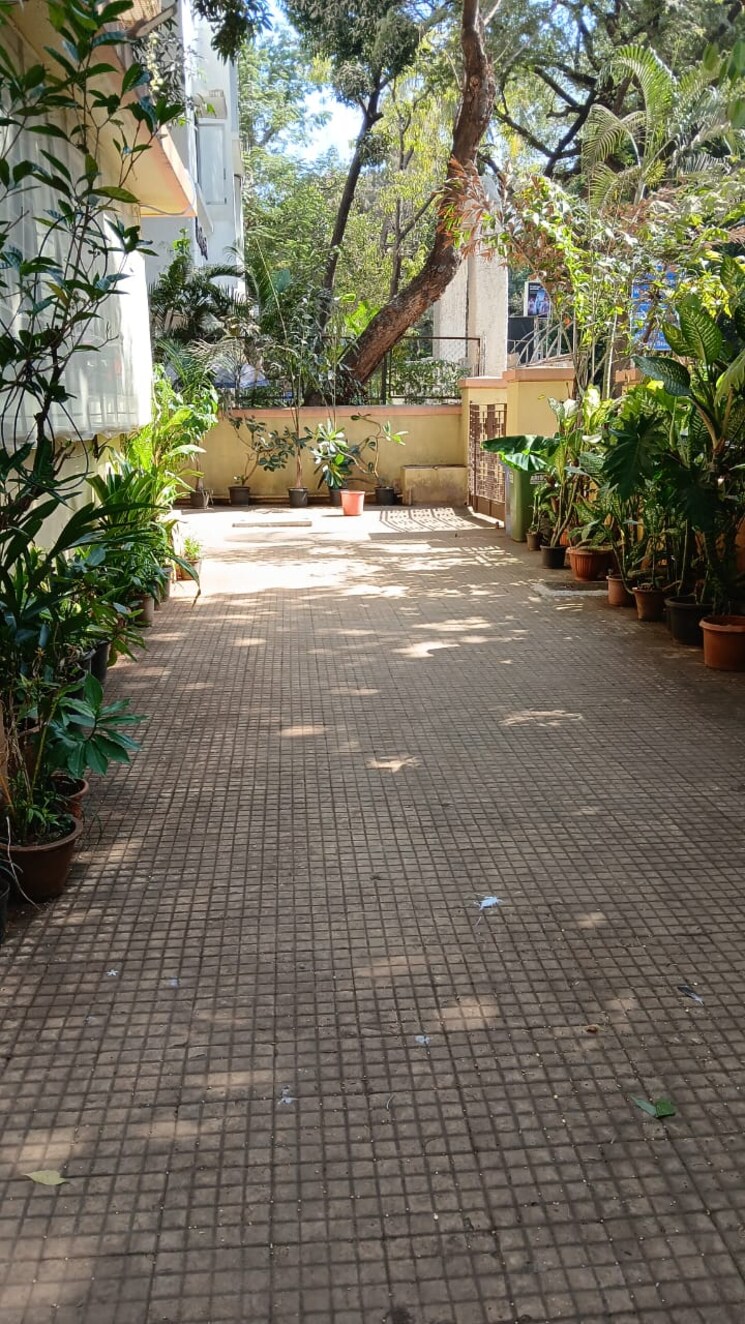 Exterior View, parshwanath-gardens 1 Bedroom 500 Sq.Ft. Apartment In Matunga Mumbai 8692882