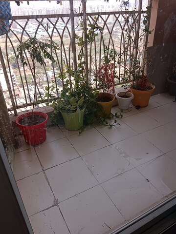 Team Area in 2 BHK Apartment at Sector 16c Greater Noida – for Rent