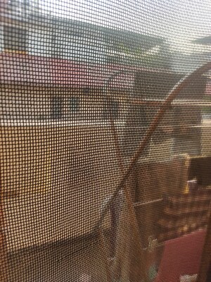 Balcony in 3 BHK Builder Floor at Shivalik Colony – for Sale