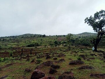 Plot Area in  Plot at Pali – for Sale