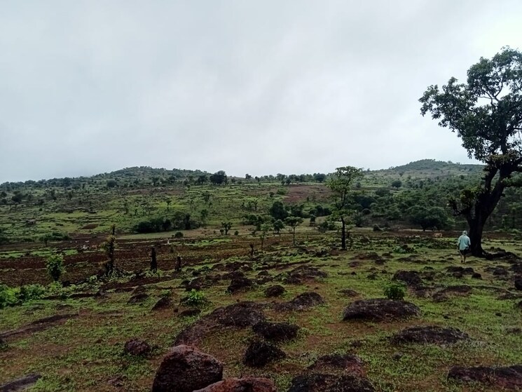 undefined, pali  28 Acre Plot In Pali Raigad 8693860