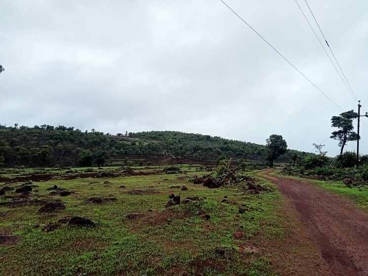 undefined, pali  28 Acre Plot In Pali Raigad 8693860