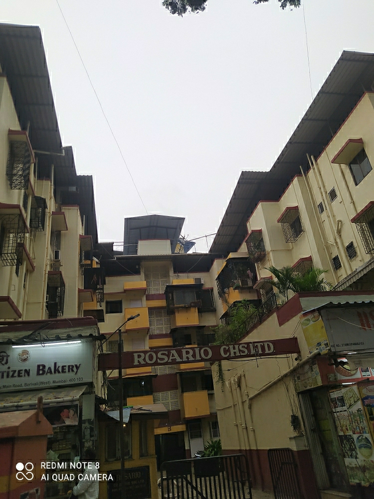 1 BHK Apartment For Rent in Rosario CHS