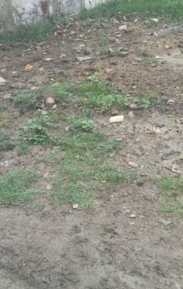  Plot For Sale in Bajaj Nagar