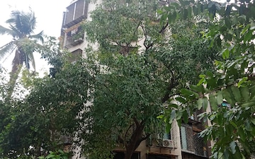 1 BHK Apartment For Rent in Nova Divya Ambe, Dahisar West