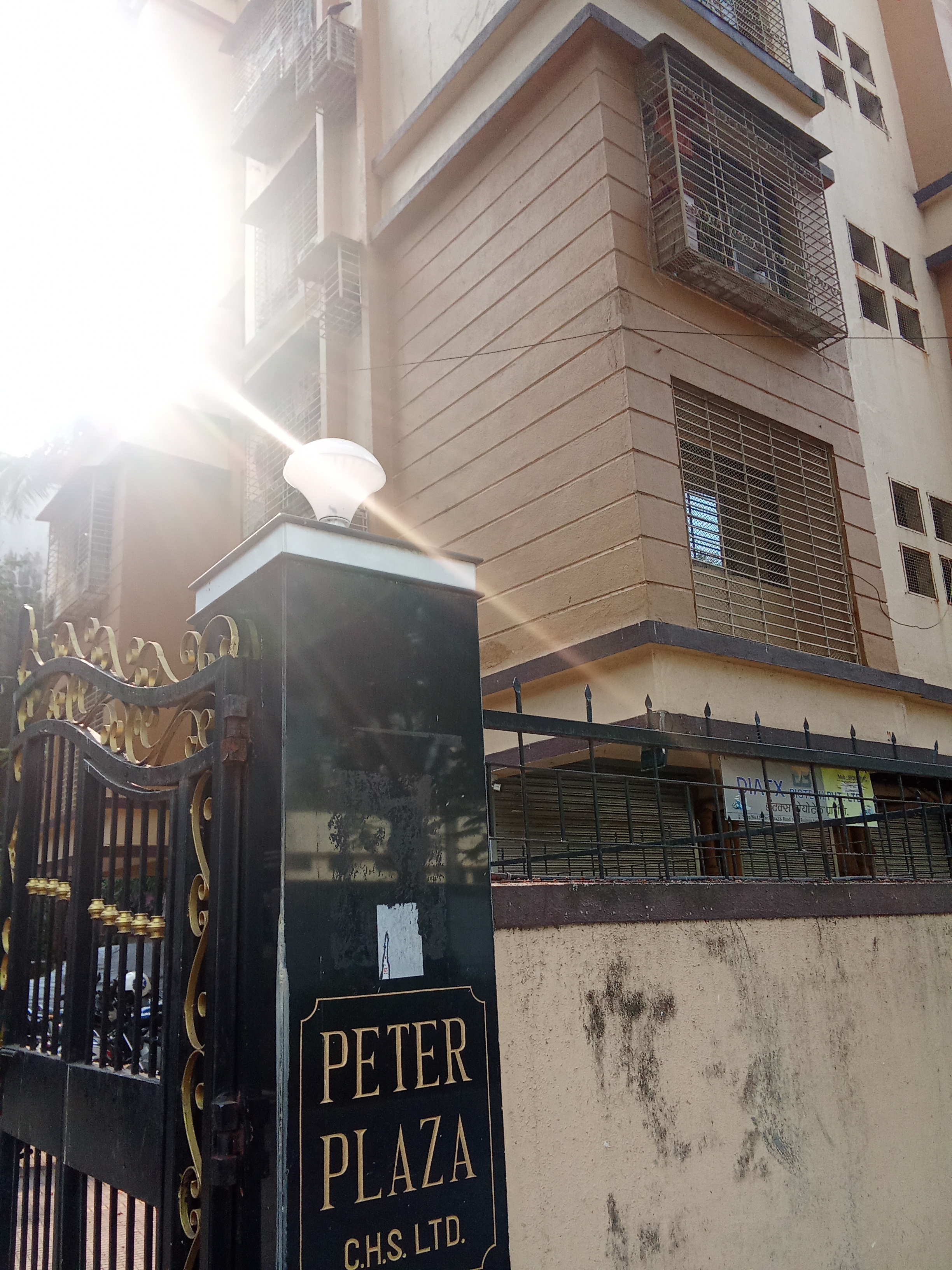 1 BHK Apartment For Rent in Peter Plaza