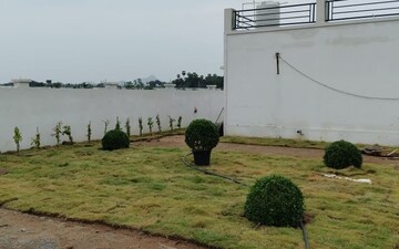 Plot For Sale in Pusapatirega