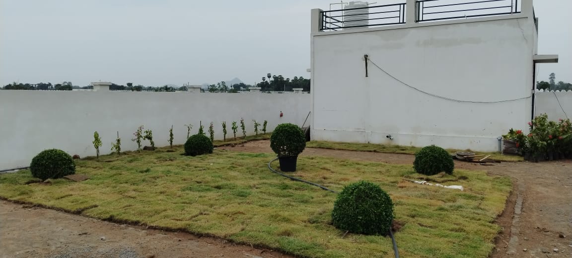 Plot For Sale in Bhogapuram Real Estates 