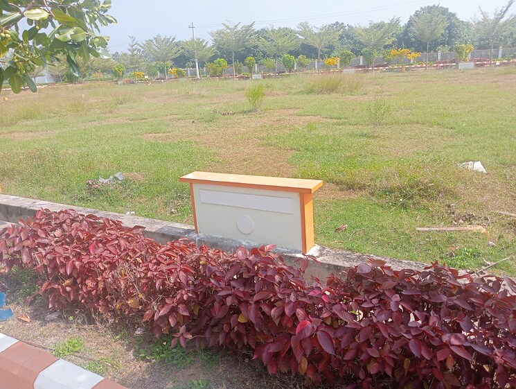 Garden, gajula rega  200 Sq.Yd. Plot In Gajula Rega Vizianagaram 8694598