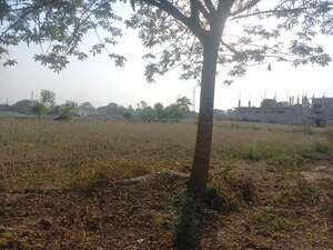 Plot Area in  Land at Amethi – for Sale