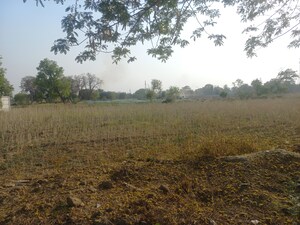 Plot Area in  Land at Amethi – for Sale
