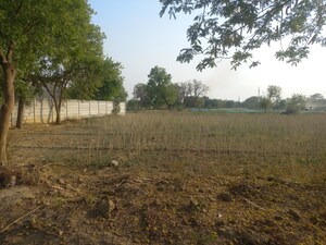  Land For Sale in Amethi