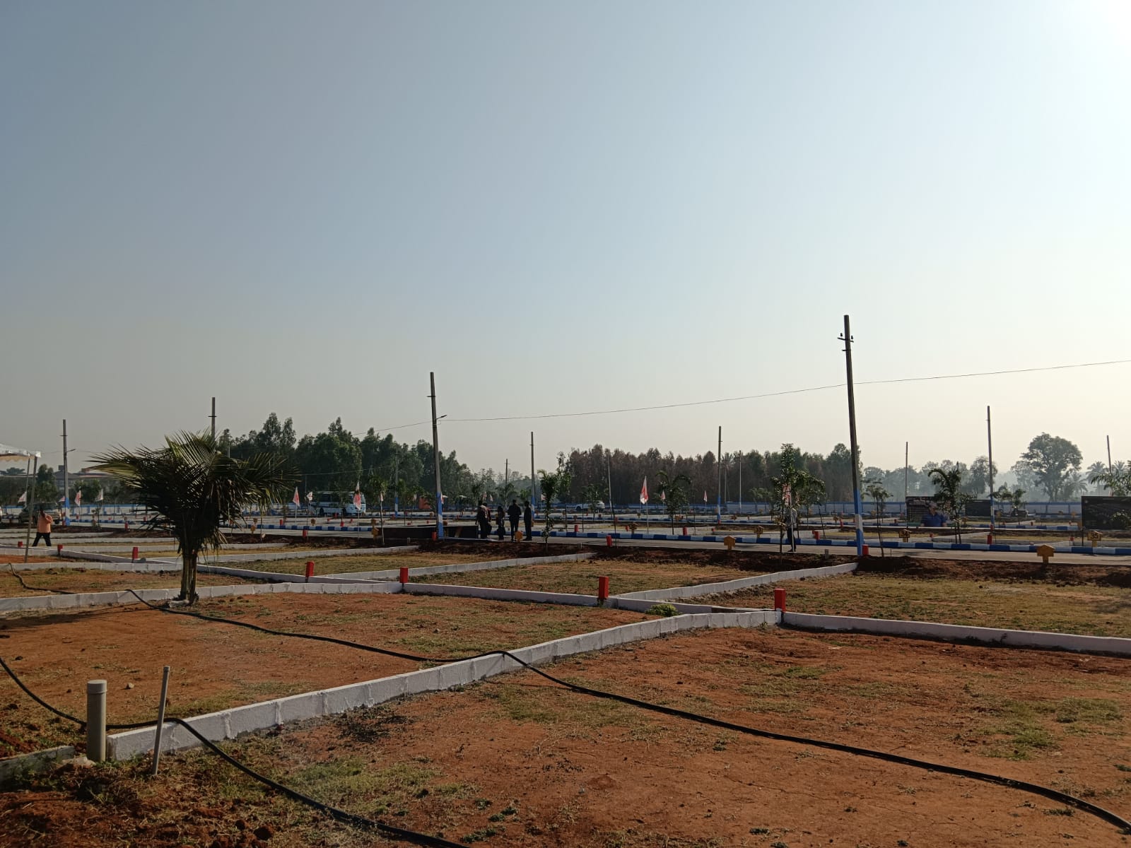 Plot For Sale in Nexa City