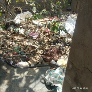  Plot For Sale in Vikas Nagar